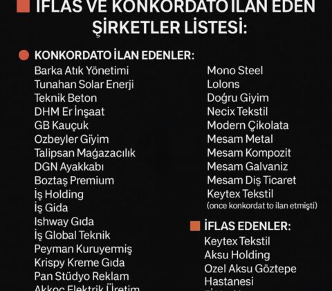 Konkortado İlan Eden Şirketlerin Kredi Çekme İmkanları [2026 Rehberi] - Kapak Görseli