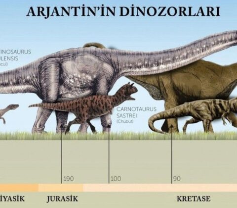 En Büyük Dinozorun Benzersiz Boyunun Bilimsel Açıklaması [2026] - Kapak Görseli