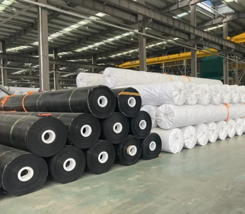 HDPE Astar Teknolojisi ve Kalıcı Başarı İçin Uzman İpuçları [2026] - Kapak Görseli