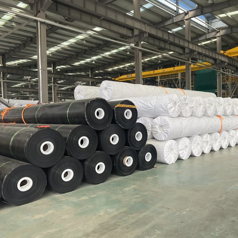 HDPE Astar Teknolojisi ve Kalıcı Başarı İçin Uzman İpuçları [2026] - Kapak Görseli